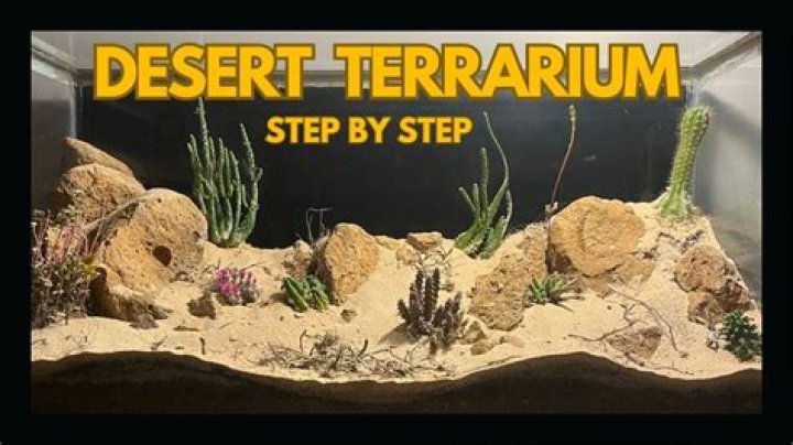 Where can I get a terrarium?