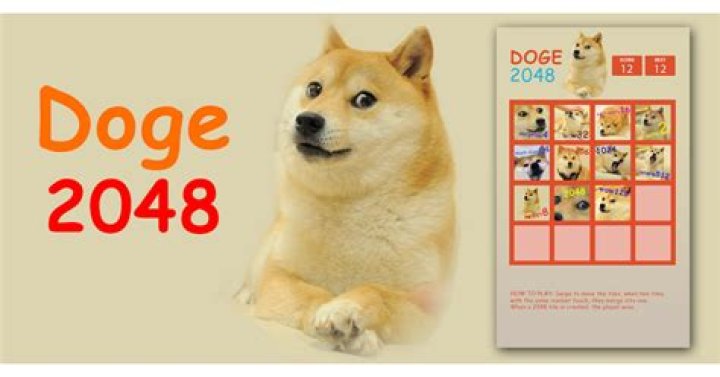 Which doge represents what number?