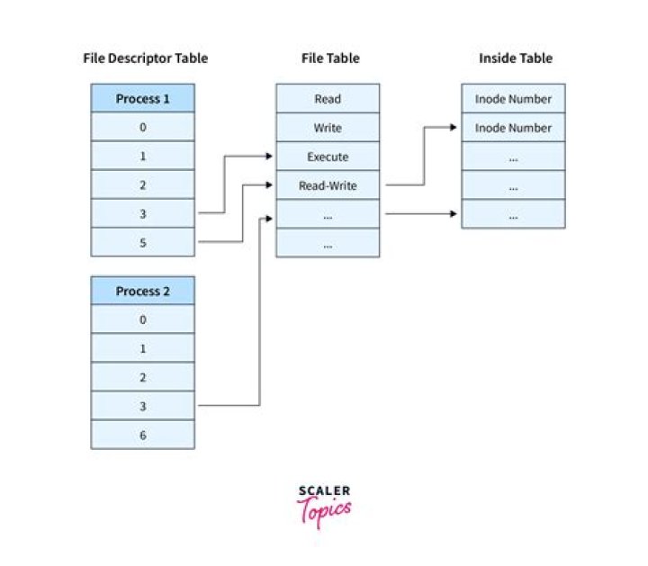 Which file descriptors (/dev/fd/##) are used in process substitution?