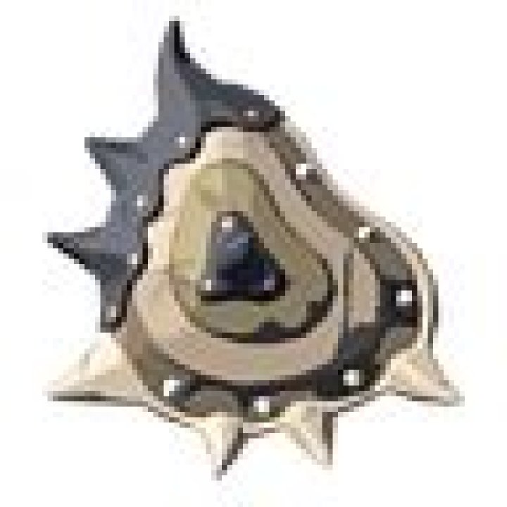 Which shields have damaging parries?
