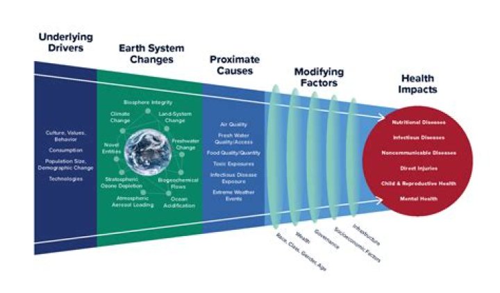 Why the terminology "global fields" and "local fields"