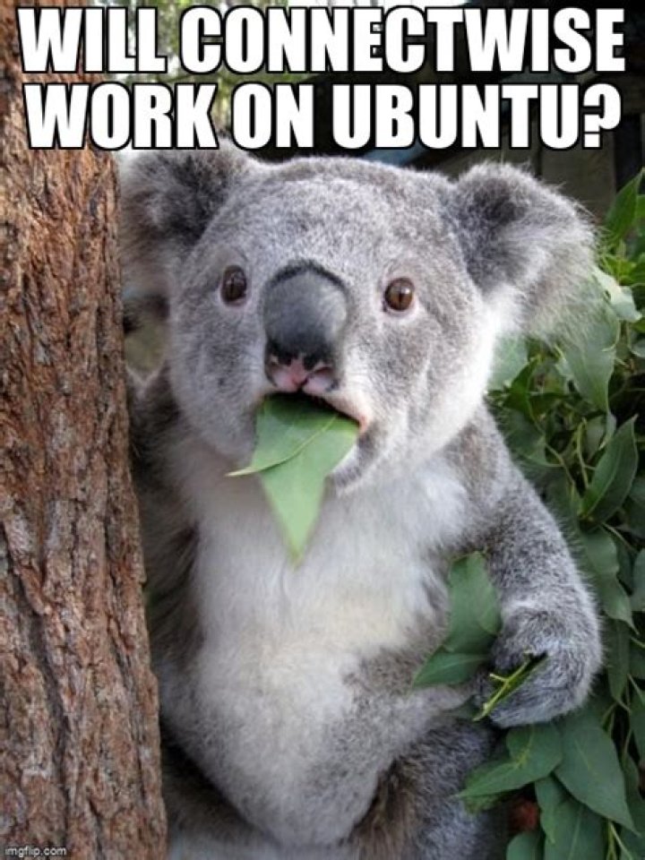 Will ConnectWise work on Ubuntu?